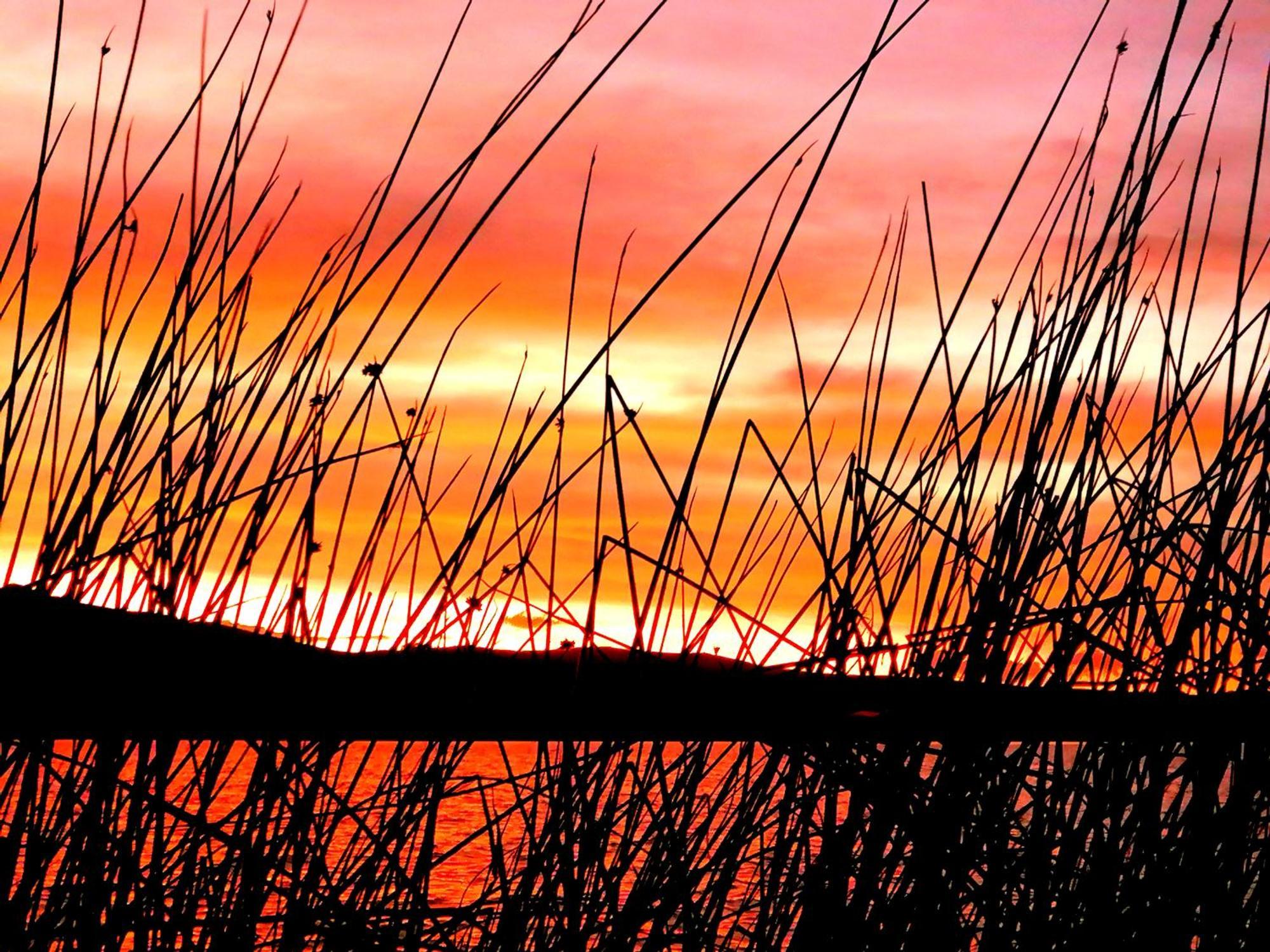 Uros Waliski Lodge Puno Rom bilde